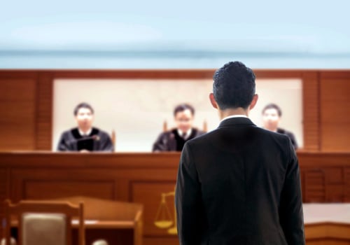 The Lengthy Process of Court Cases: An Expert's Perspective